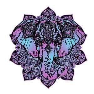 Meet your Posher, Kathryn